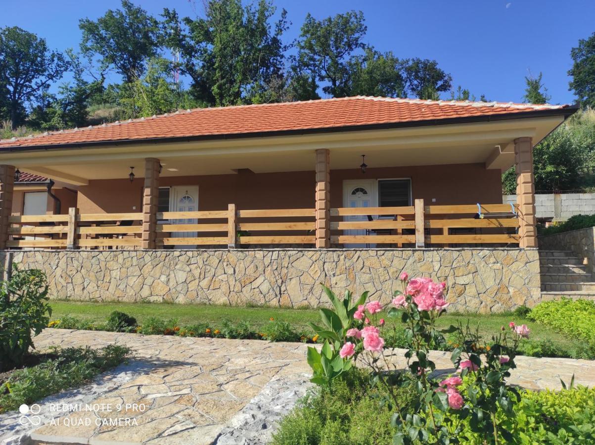 Vila Vera Borsko Jezero Exteriér fotografie