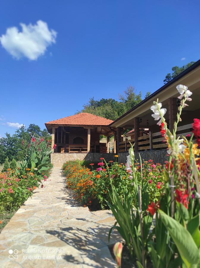 Vila Vera Borsko Jezero Exteriér fotografie
